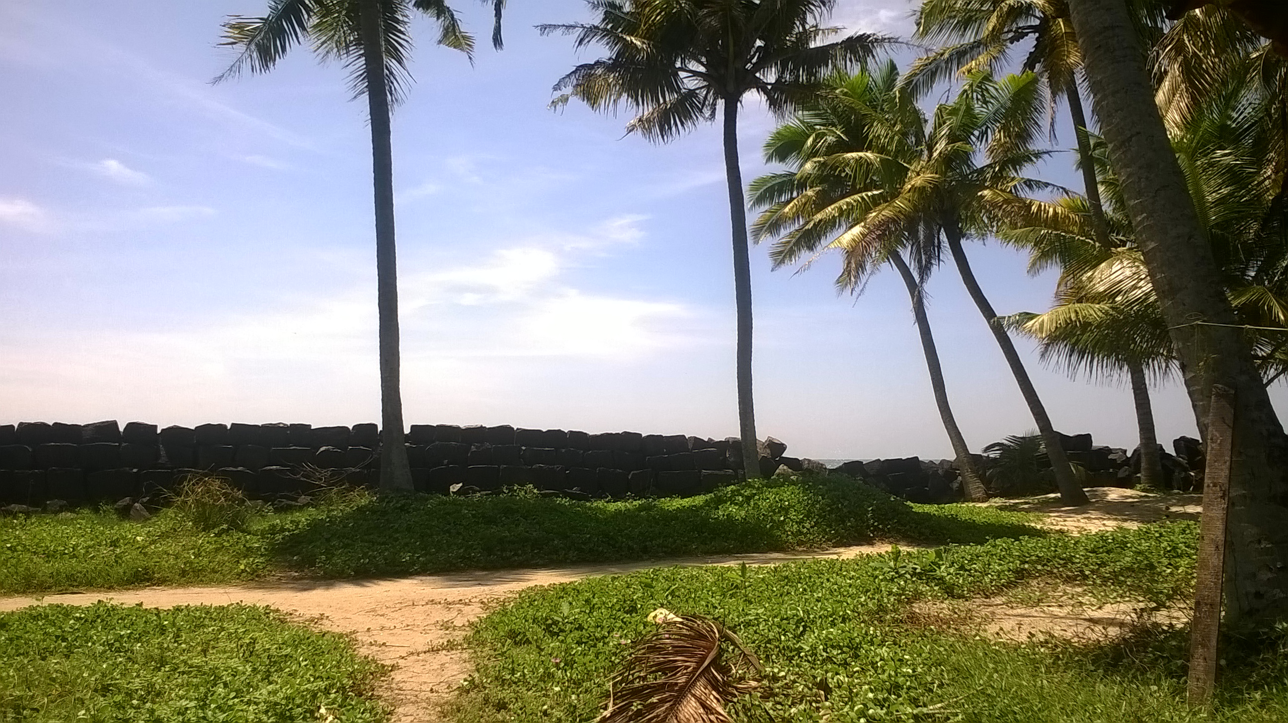 Beautiful beach scene - pallithode beach showcasing Kerala's coastal charm